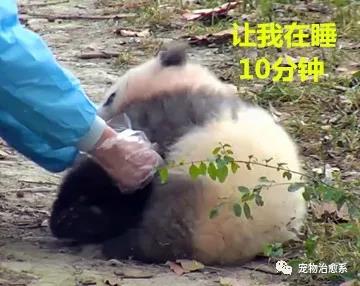 微信图片_20190402184519.jpg