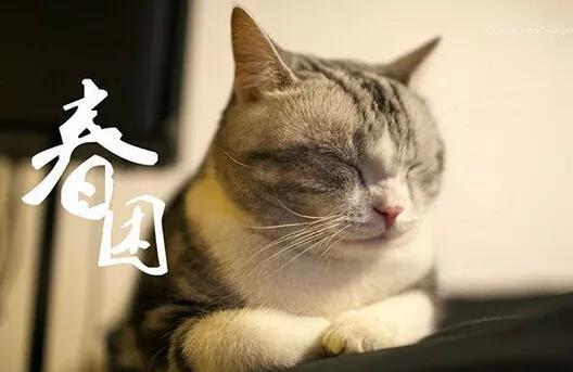 微信图片_20190402184115.jpg