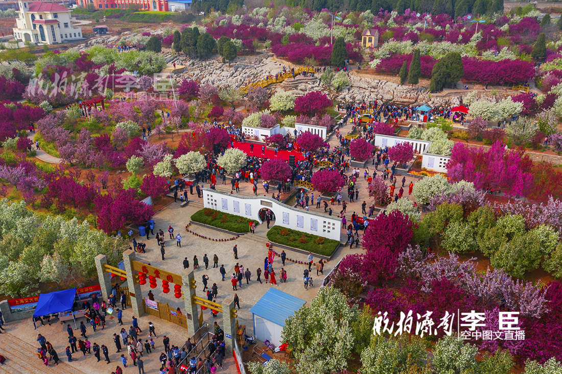 2021平阴海棠园图片