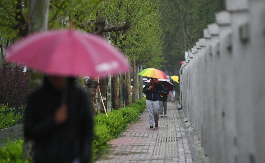 60秒丨杏花春雨曉風寒！山東多地迎大風降雨 一同感受這場春雨潤物之旅