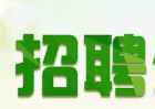 @求職者，濱州市2019年民營企業招聘周要開始啦