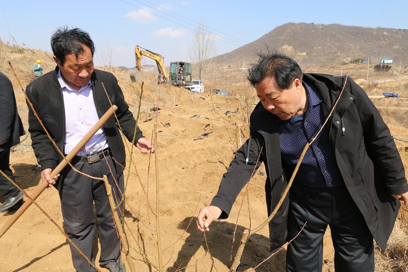 钢城区东峪村村民赵文全 靠山吃山"吃"出新滋味