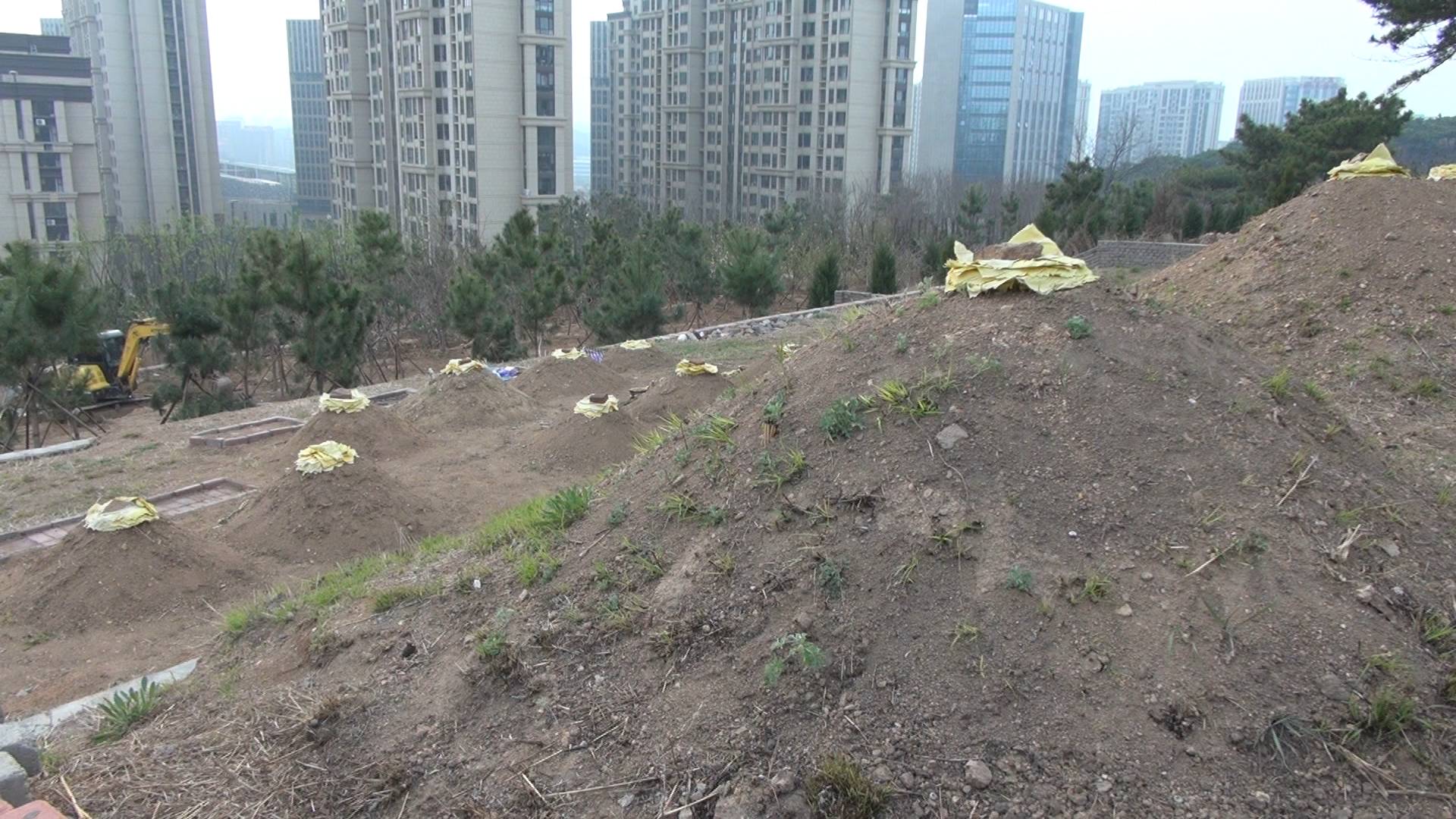 問政山東丨“我家窗口就有人在燒紙”公園私埋亂葬嚇壞小區居民 負責人：監管有漏洞！