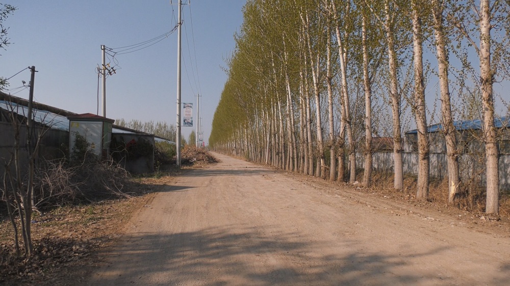 高密修好四好农村路提速致富奔小康