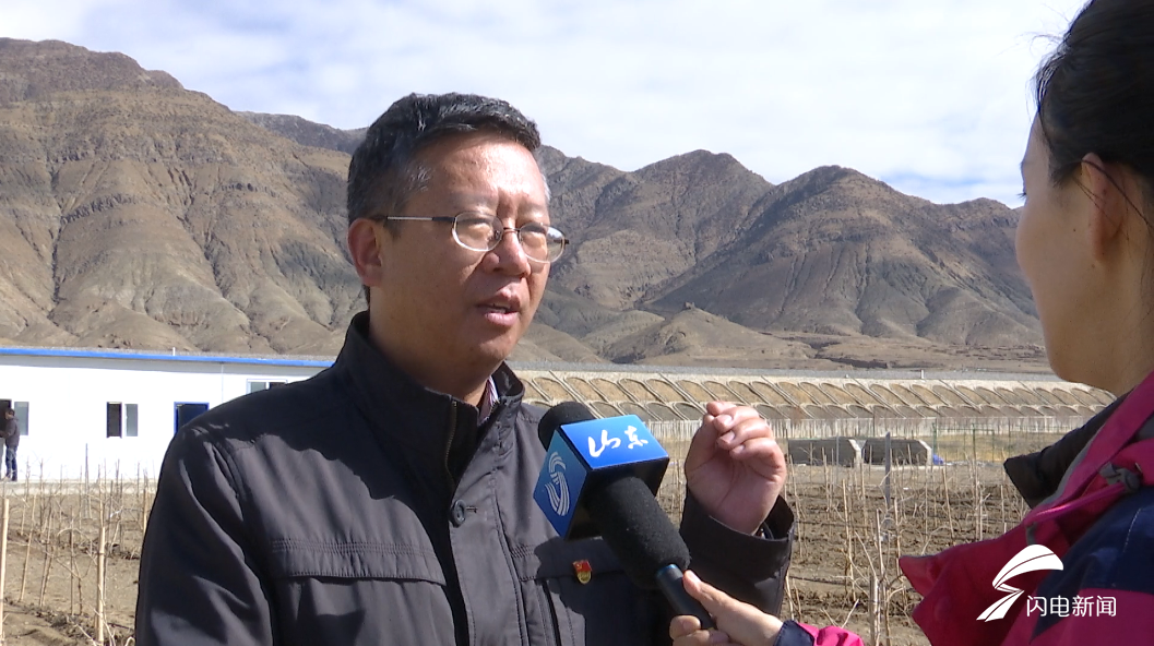 雪域高原这片万亩戈壁荒滩变身生态枸杞园