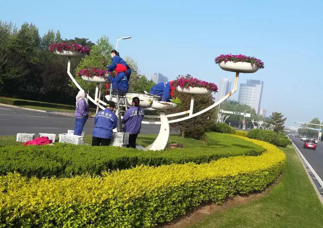 广饶县精心布置草花扮靓城市风景迎五一