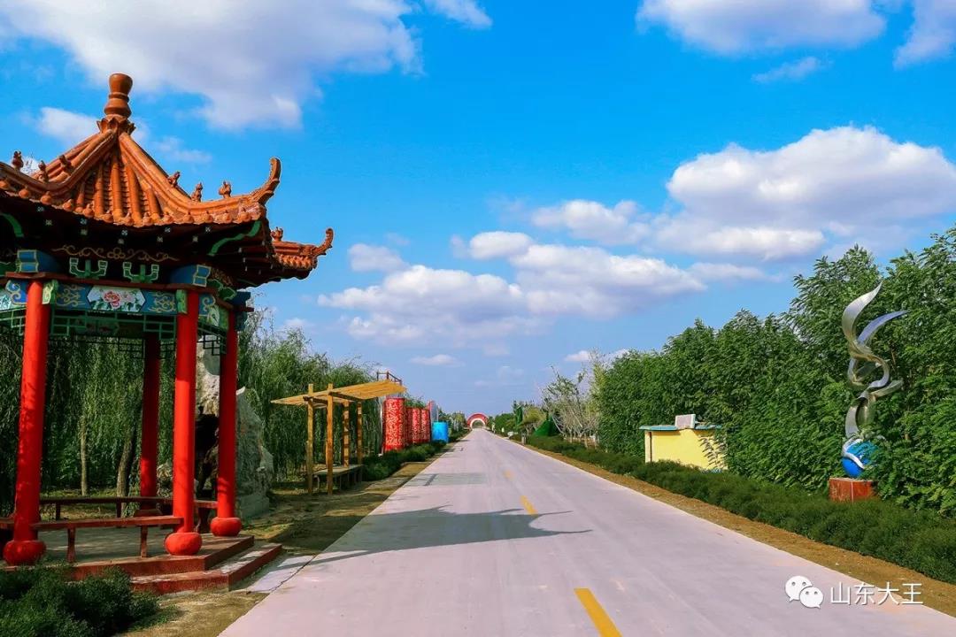 五一何必远游你要的风景广饶县大王镇都有