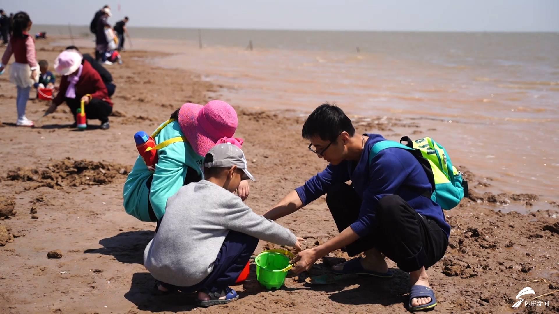 东营黄河入海口游人如织赶海拾贝乐翻天