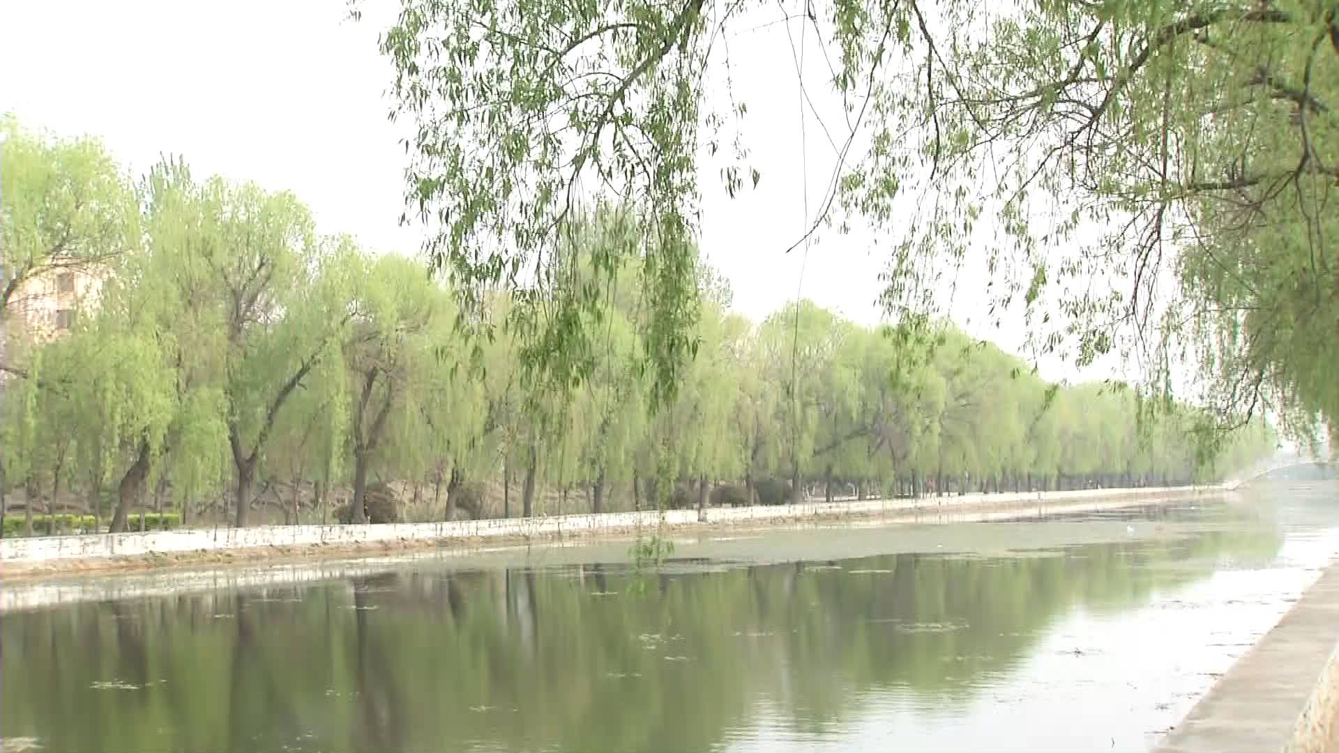 海麗氣象吧丨山東今迎大風+降溫天氣 周一氣溫最低