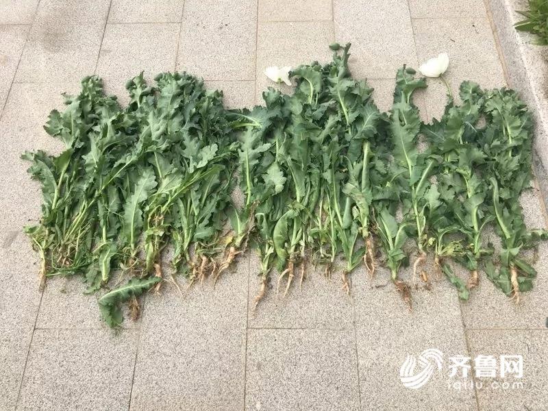 微信圖片_20190507105510.jpg
