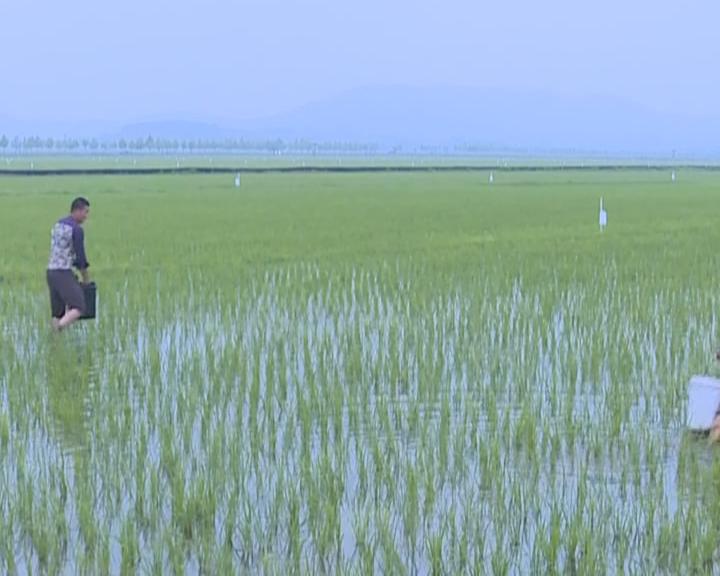 Copy_绿色肥料 助力农业高质量发展_2019-05-16_16-01-38.jpg