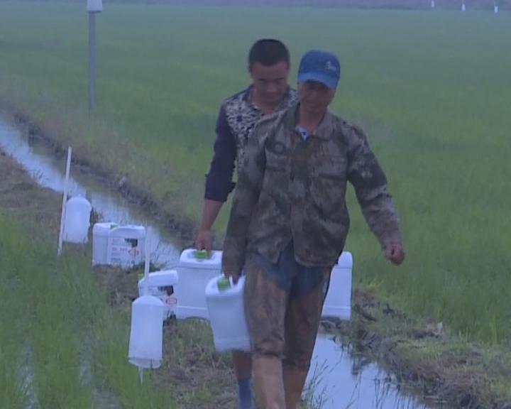 Copy_绿色肥料 助力农业高质量发展_2019-05-16_16-01-32.jpg