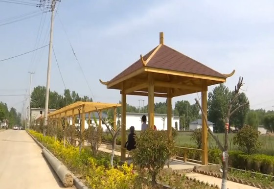 基层书记谈创建临沂兰山区汪沟镇创城助推乡村振兴