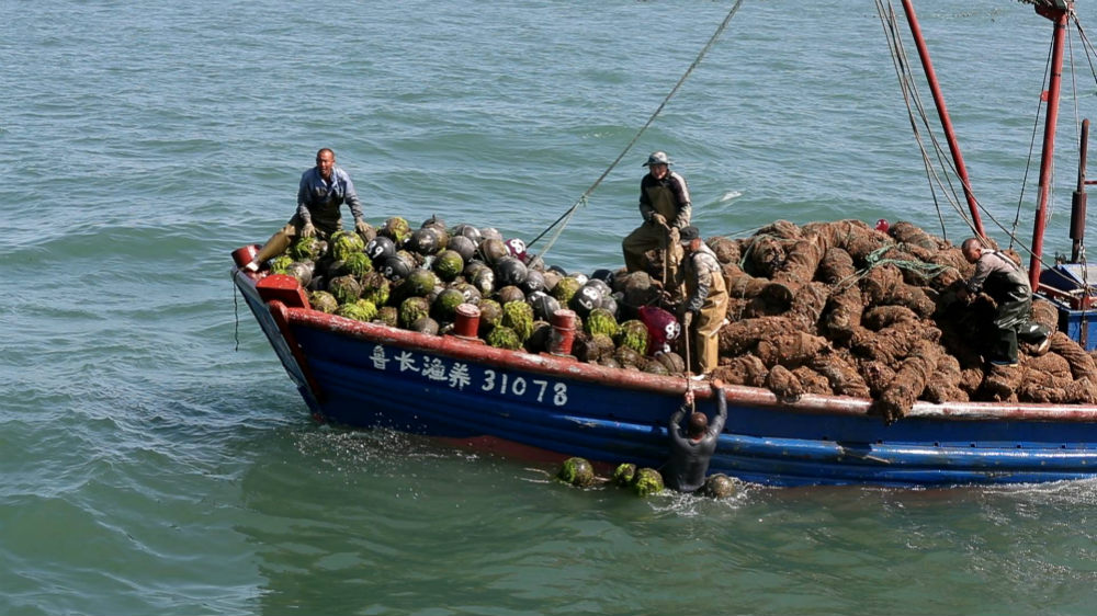 50秒丨漁船沉沒5名漁民落入海水中，關(guān)鍵時(shí)刻幸虧他們出現(xiàn)