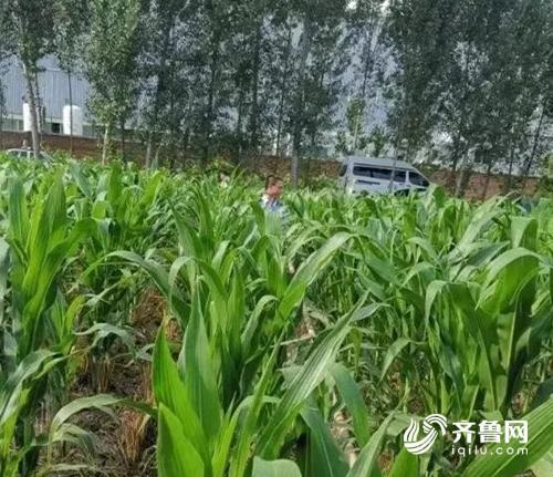微信圖片_20190723173527.jpg
