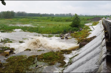 临沭县蛟龙镇河道淤积镇政府紧急救援