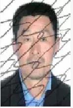 鄒平市人民法院發布懸賞執行通告 公開征集被執行人下落及財產線索