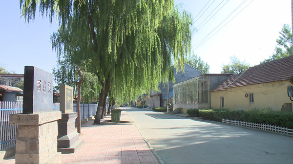 濰坊青州市黃樓街道著力提升村居環境增強村民幸福感