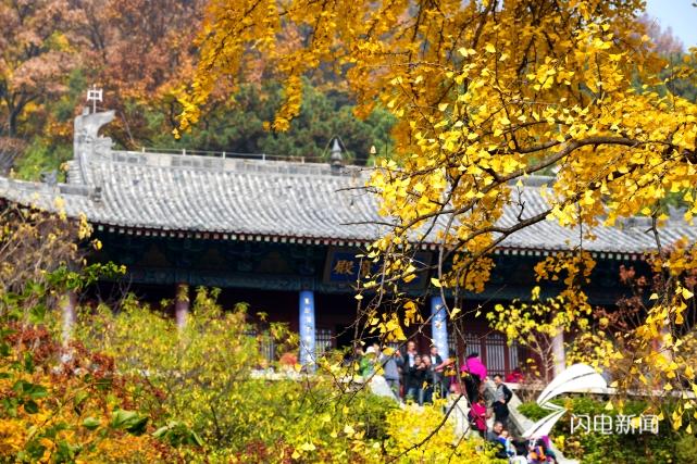 d875539e6b12ef1da976ef181d2a8329.jpg 微信图片_20191114094139_conew1.jpg