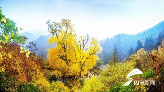 e72b6f73550383cd072a998eef3e734d.jpg 微信图片_20191114094016_conew1.jpg