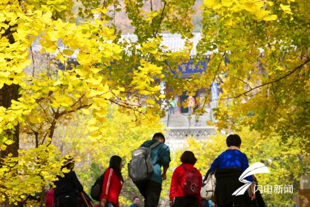 e97fe59dac32d07b36b4103da5ac56d1.jpg 微信图片_20191114094052_conew1.jpg