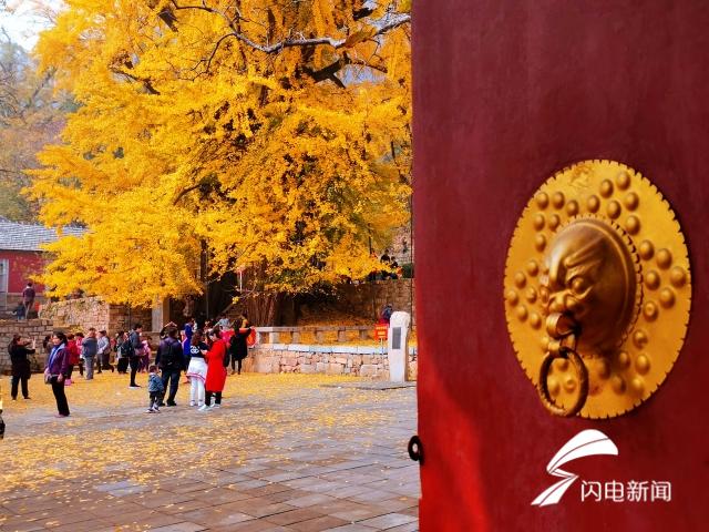 efcdbdd71ce35fa9926b3c208167fe47.jpg 微信图片_20191114094115_conew1.jpg