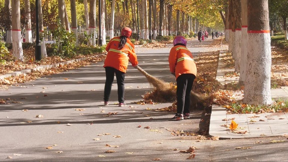 环卫工人们不得不加班加点,集中力量加大落叶路段的清扫力度