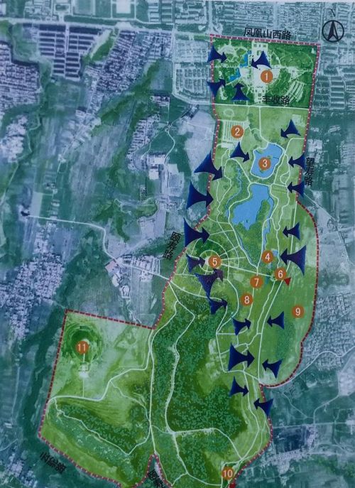 潍坊植物园地图图片