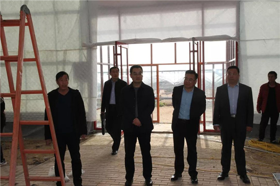 潍坊市临朐县委常委组织部部长潘锡才到蒋峪镇调研指导工作