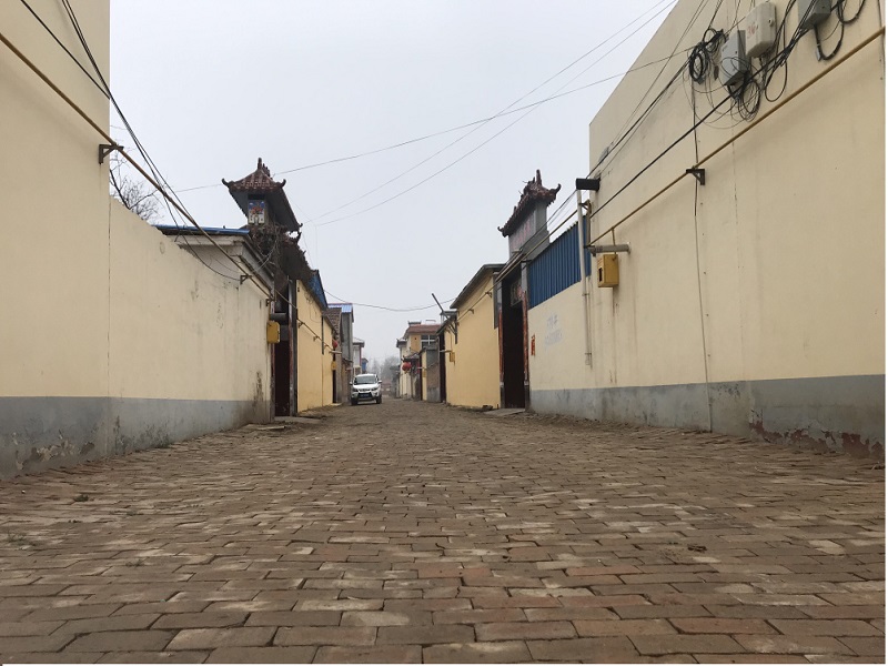 聊城莘县古云镇:"家家整洁,村村清洁"战"疫"进行时