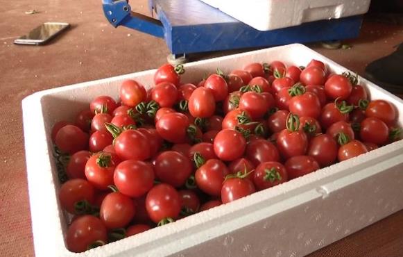 56feea2af2ce65a4cb4bda1ddd5add5c.jpg 微信截图_20200302093254.jpg