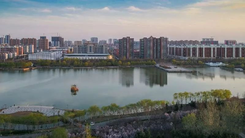 菏泽市巨野县:不负好春光 植树添新绿