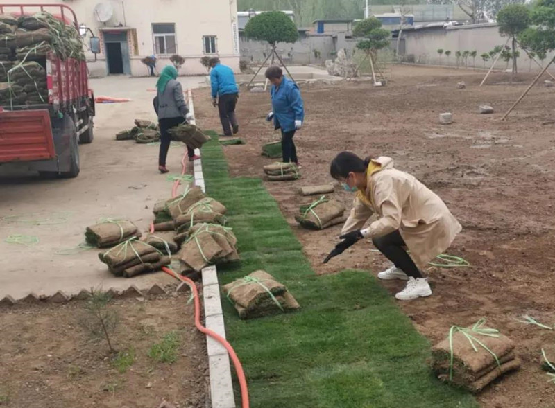 微信图片_20200414094441_副本.jpg