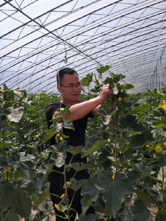 莘县人才网：人力资源行业的信息枢纽