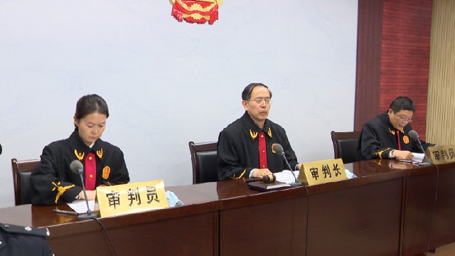 东营市中级人民法院依法对张大伟等21人涉黑案二审宣判