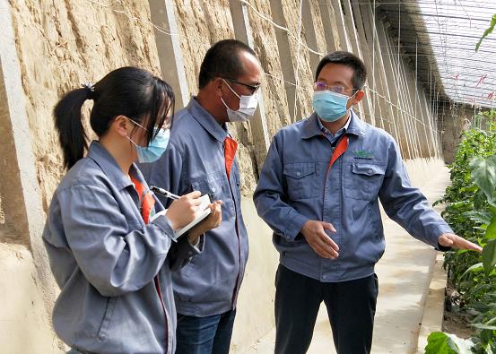 潍坊市寿光:创新实干 争当"育种先锋"