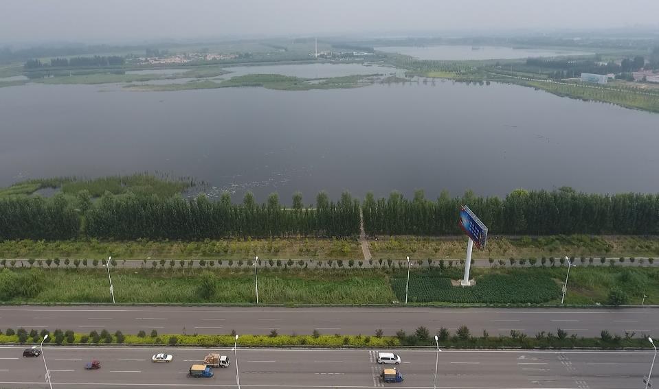 济宁邹城市太平镇多点谋划做好林业有害生物疫情防控