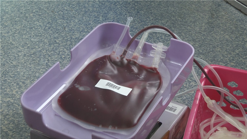 潍坊护理职业学院有近60名师生走进流动献血车,共献血6000多毫升