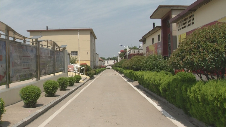 泰安新泰市新汶街道强力推进城乡环卫一体化建设美丽生态新农村