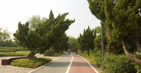 临沂罗庄区公园升级改造营造优美休闲环境