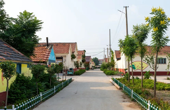 潍坊高密市井沟镇河北村开启"硬核美颜"模式