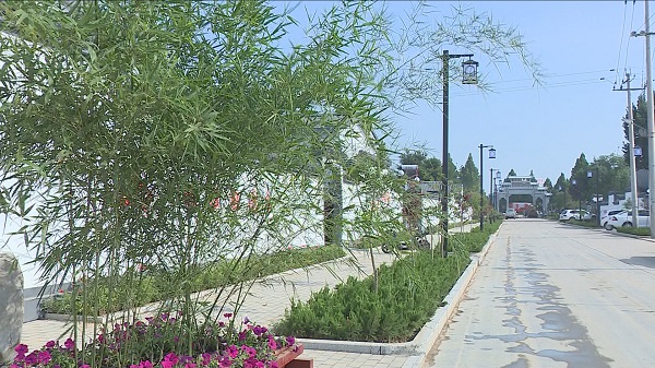 59秒丨潍坊青州市黄楼街道郝家村:人居环境再提升 美丽乡村入画来