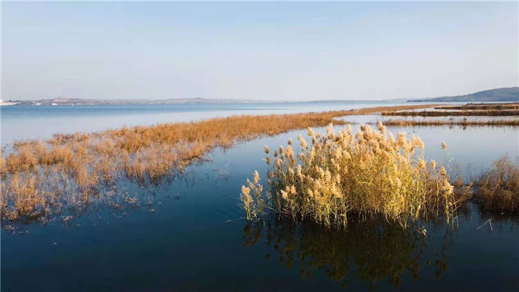 63秒丨航拍五莲墙夼水库这里的冬天很美
