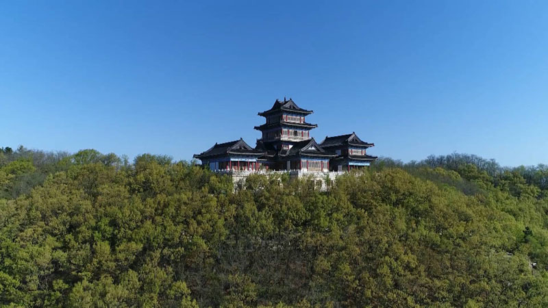 烟台市莱山区守护自然生态的绿水青山