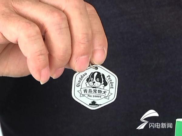青岛养狗需登记缴纳管理费首只犬牌今日发出