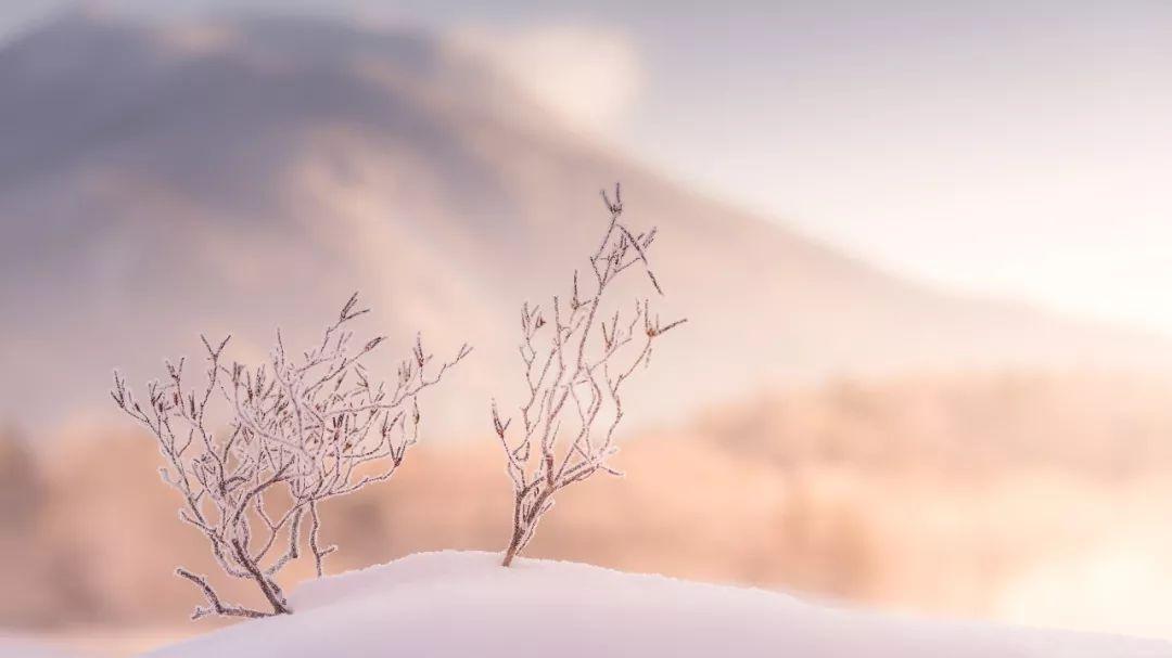 夜读小寒凄凄岁暮风翳翳经日雪