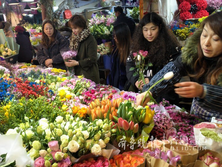 在济南历山路一家花卉市场,买盆栽,花束的市民真不少,大部分市民买花