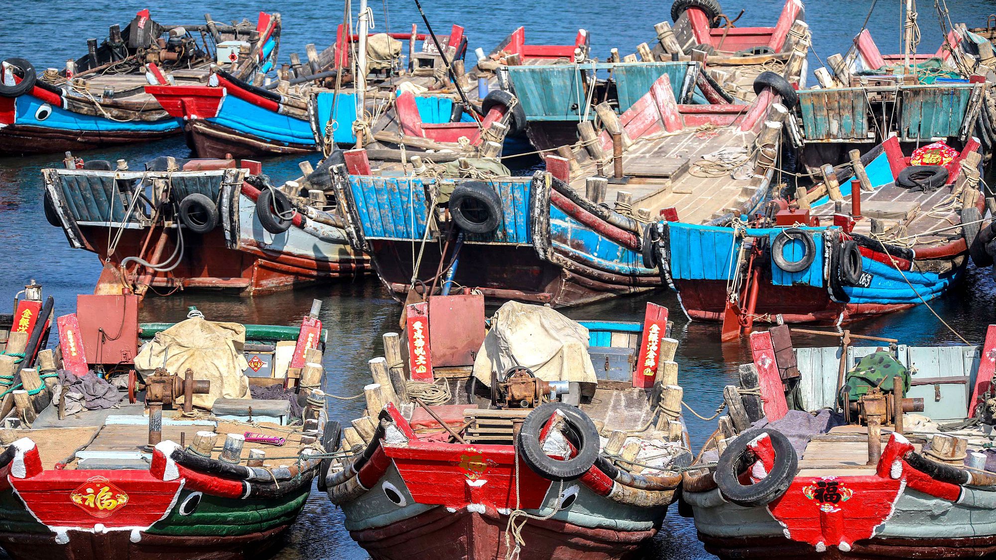 船满渔港海鲜满舱 南姜码头好一派丰收景象