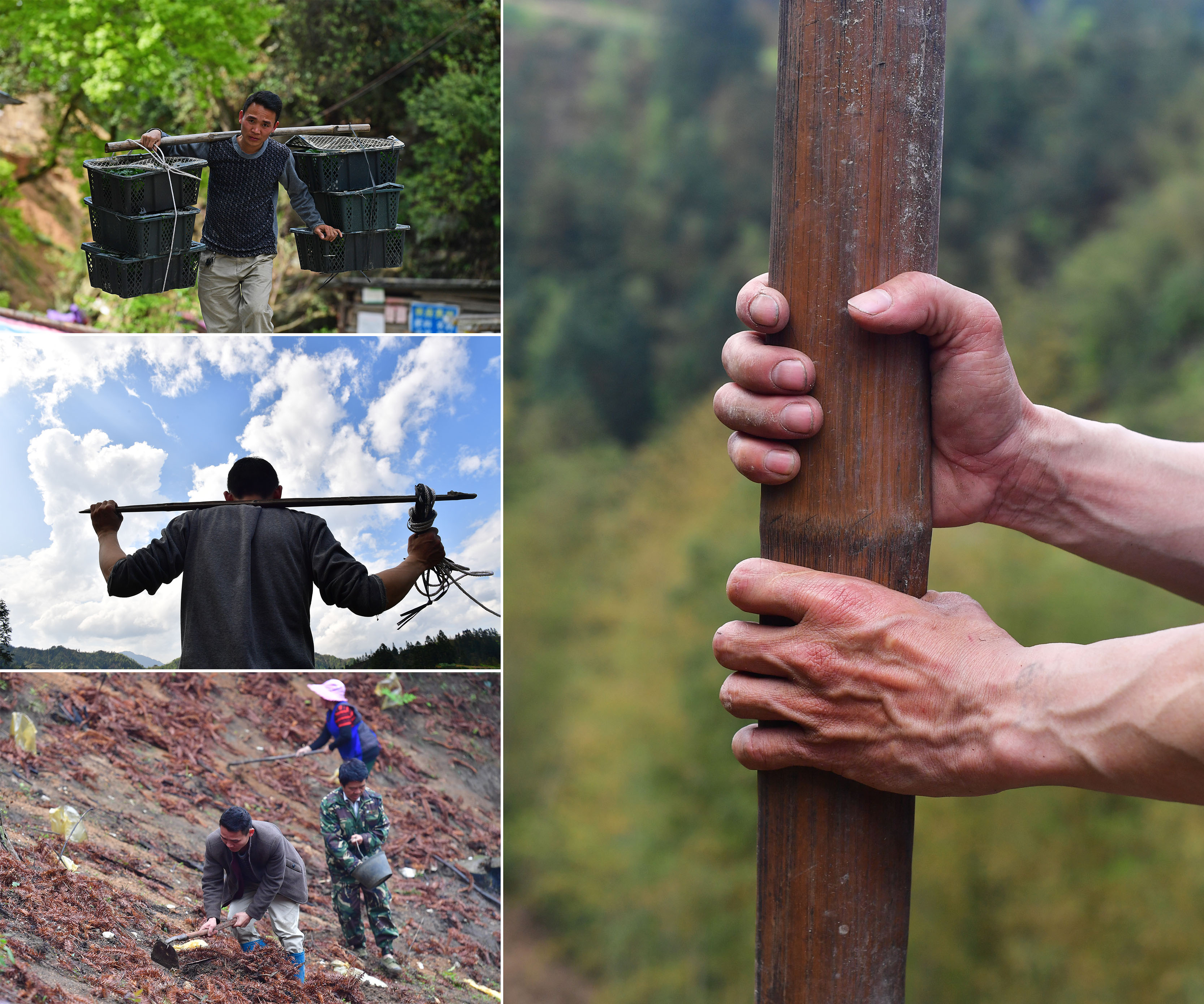 苗山脱贫影像志——勤劳脱贫的双手