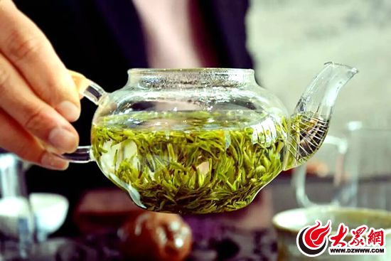 2018日照浏园春有机茶开园头采引来国茶实验室关注